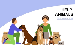 Animal Volunteers