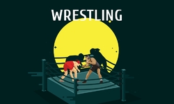 Night Wrestling