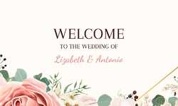 Welcome to the Wedding