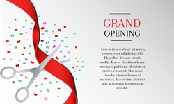 Elegant Opening